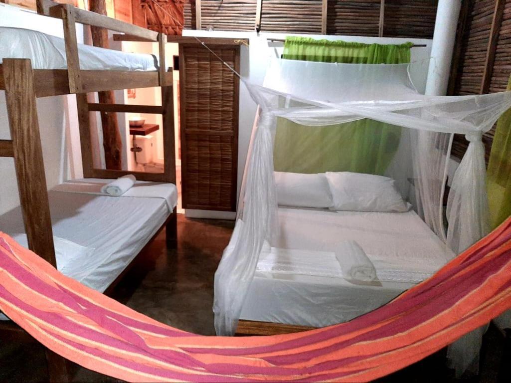 Ecohotel Kocoluu 圣贝尔纳多德尔比恩托 外观 照片